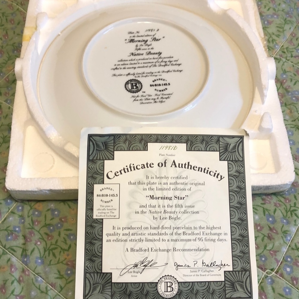 Collector plates - Picture 5 of 8